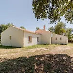 Chez Paddy - Family Friendly & Nature